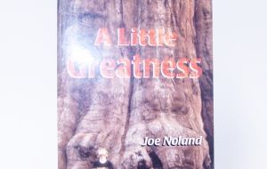 A Little Greatness - Joe Noland