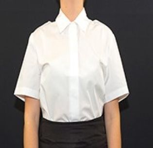 ladies-formal-blouse